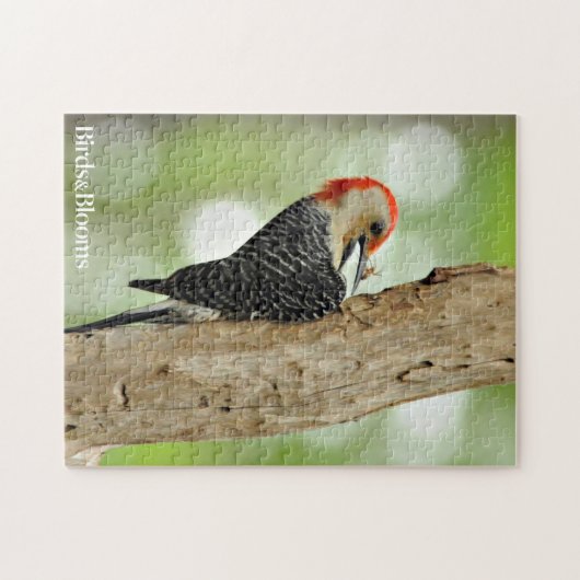 Red-Bellied Woodpecker Legpuzzel (Horizontaal)