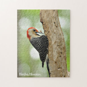 Red-Bellied Woodpecker Legpuzzel