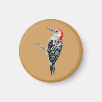 Red-bellied Woodpecker Magneet