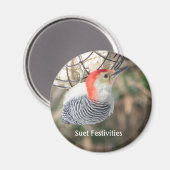Red-bellied Woodpecker magnet (Voorkant / Achterkant)