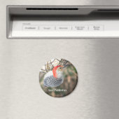 Red-bellied Woodpecker magnet (Insitu (Vaatwasser))