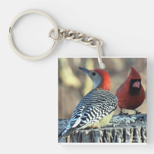 Red Bellied Woodpecker met rode kardinaal Sleutelhanger (voorkant)