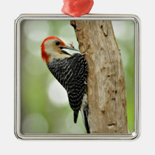 Red-Bellied Woodpecker Metalen Ornament