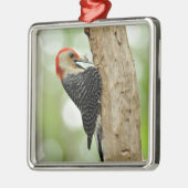 Red-Bellied Woodpecker Metalen Ornament (Links)