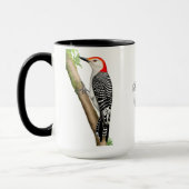 Red Bellied Woodpecker  Mok (Links)