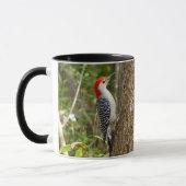 Red Bellied Woodpecker Mok (Links)