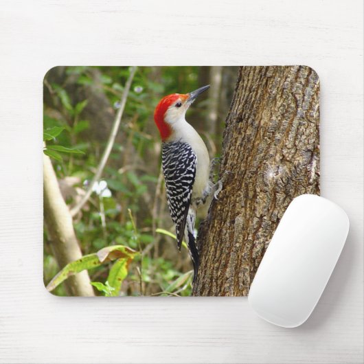Red Bellied Woodpecker Mousepad 2 Muismat (Met muis)