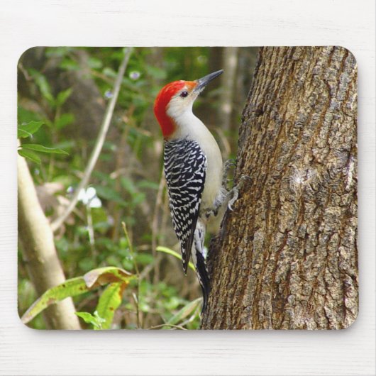 Red Bellied Woodpecker Mousepad 2 Muismat (Voorkant)