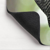 Red-Bellied Woodpecker Muismat (Hoek)