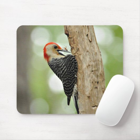 Red-Bellied Woodpecker Muismat (Met muis)