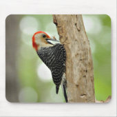 Red-Bellied Woodpecker Muismat (Voorkant)