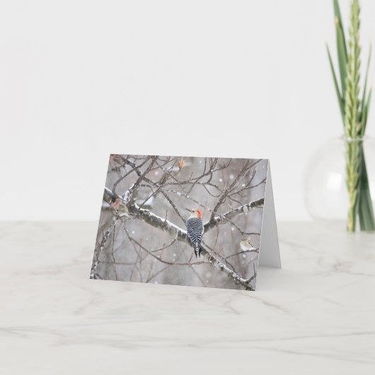 Red Bellied Woodpecker Notecard - Blank Inside Kaart (Voorkant)