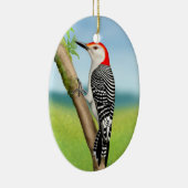 Red Bellied Woodpecker op Branch Ornament (Rechts)