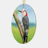 Red Bellied Woodpecker op Branch Ornament (Links)