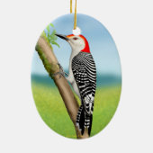 Red Bellied Woodpecker op Branch Ornament (Achterkant)