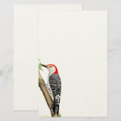 Red Bellied Woodpecker op een Branch Stationery Briefpapier (Voorkant / Achterkant)
