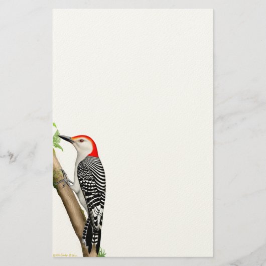 Red Bellied Woodpecker op een Branch Stationery Briefpapier (Voorkant)