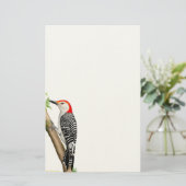 Red Bellied Woodpecker op een Branch Stationery Briefpapier (Staand voorkant)