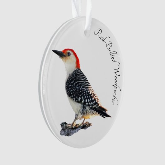 Red-Bellied Woodpecker Ornament (voorkant)