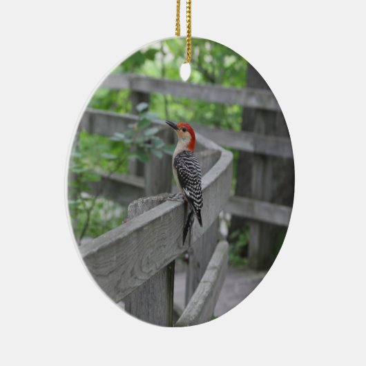 Red-bellied woodpecker ornament (Rechts)