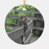 Red-bellied woodpecker ornament (Voorkant)
