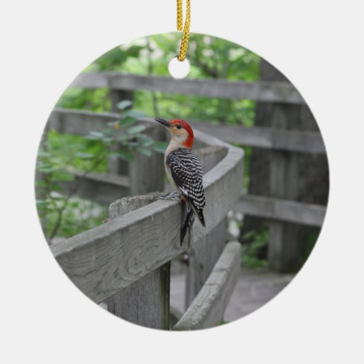 Red-bellied woodpecker ornament (Voorkant)