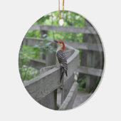 Red-bellied woodpecker ornament (Links)