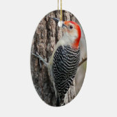Red-Bellied Woodpecker Ornament (Rechts)