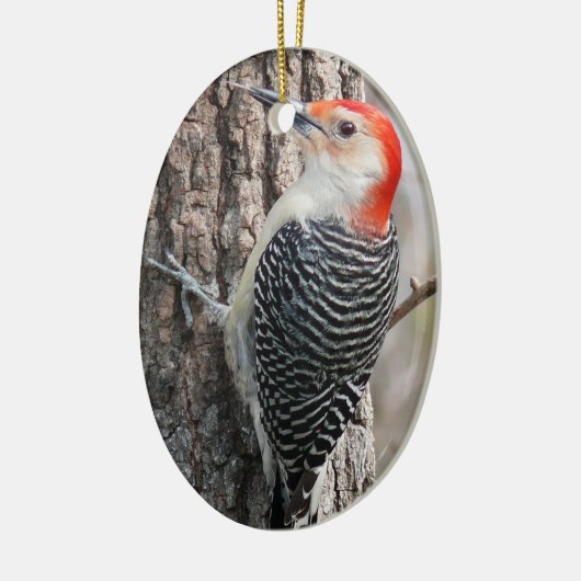 Red-Bellied Woodpecker Ornament (Links)