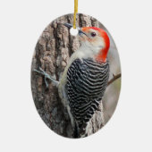 Red-Bellied Woodpecker Ornament (Voorkant)