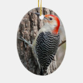 Red-Bellied Woodpecker Ornament (Achterkant)