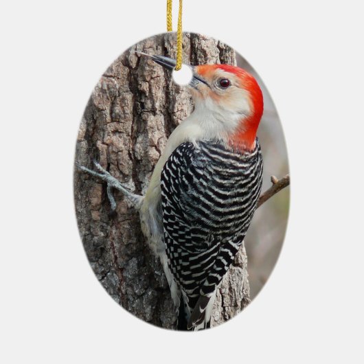Red-Bellied Woodpecker Ornament (Achterkant)