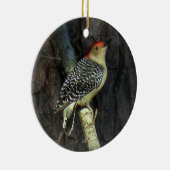 Red-bellied Woodpecker Ornament (Rechts)