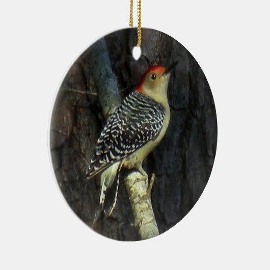 Red-bellied Woodpecker Ornament (Rechts)