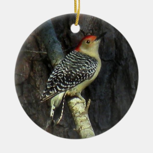 Red-bellied Woodpecker Ornament (Voorkant)