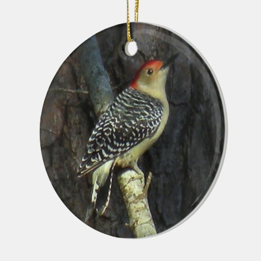 Red-bellied Woodpecker Ornament (Links)