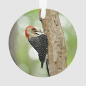 Red-Bellied Woodpecker Ornament (achterkant)