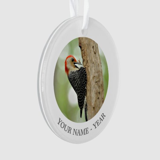 Red-Bellied Woodpecker Ornament (voorkant)