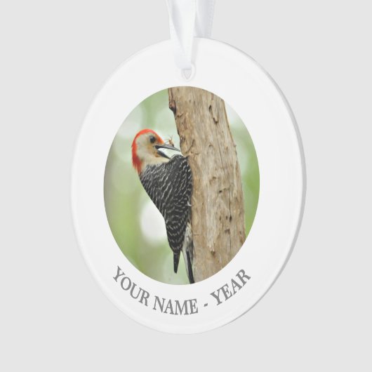 Red-Bellied Woodpecker Ornament (voorkant)