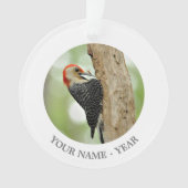 Red-Bellied Woodpecker Ornament (voorkant)