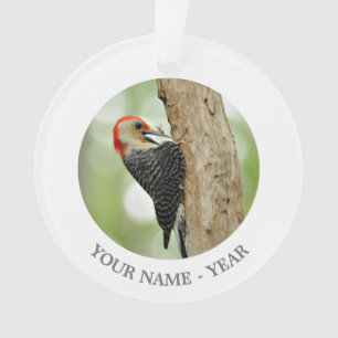Red-Bellied Woodpecker Ornament