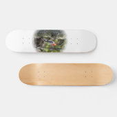 Red Bellied Woodpecker Persoonlijk Skateboard (Horizontaal)