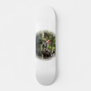 Red Bellied Woodpecker Persoonlijk Skateboard