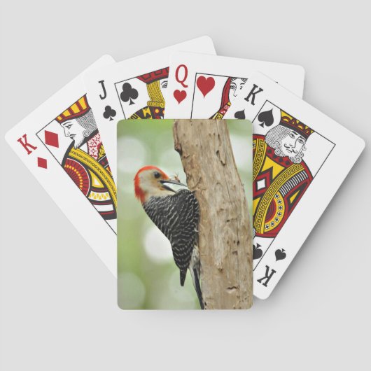 Red-Bellied Woodpecker Pokerkaarten (Achterkant)