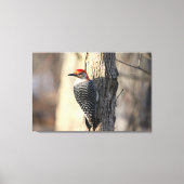 Red Bellied Woodpecker Portrait Canvas Afdruk (Voorkant)