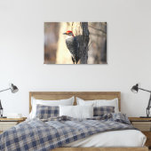 Red Bellied Woodpecker Portrait Canvas Afdruk (Insitu (Slaapkamer))