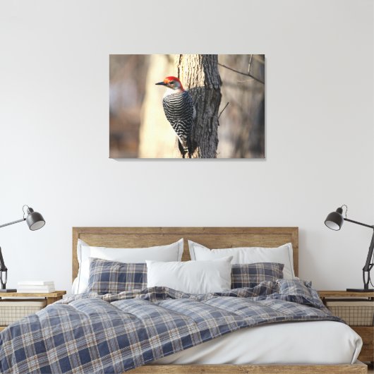 Red Bellied Woodpecker Portrait Canvas Afdruk (Insitu (Slaapkamer))