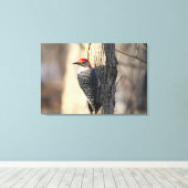 Red Bellied Woodpecker Portrait Canvas Afdruk (Insitu (Houten vloer))