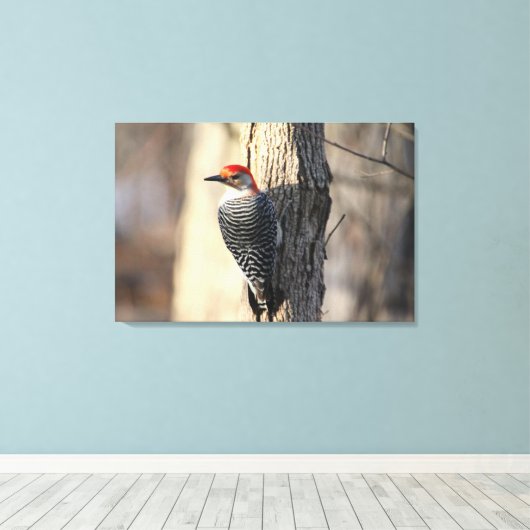 Red Bellied Woodpecker Portrait Canvas Afdruk (Insitu (Houten vloer))