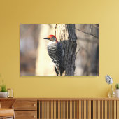 Red Bellied Woodpecker Portrait Canvas Afdruk (Insitu (Woonkamer))